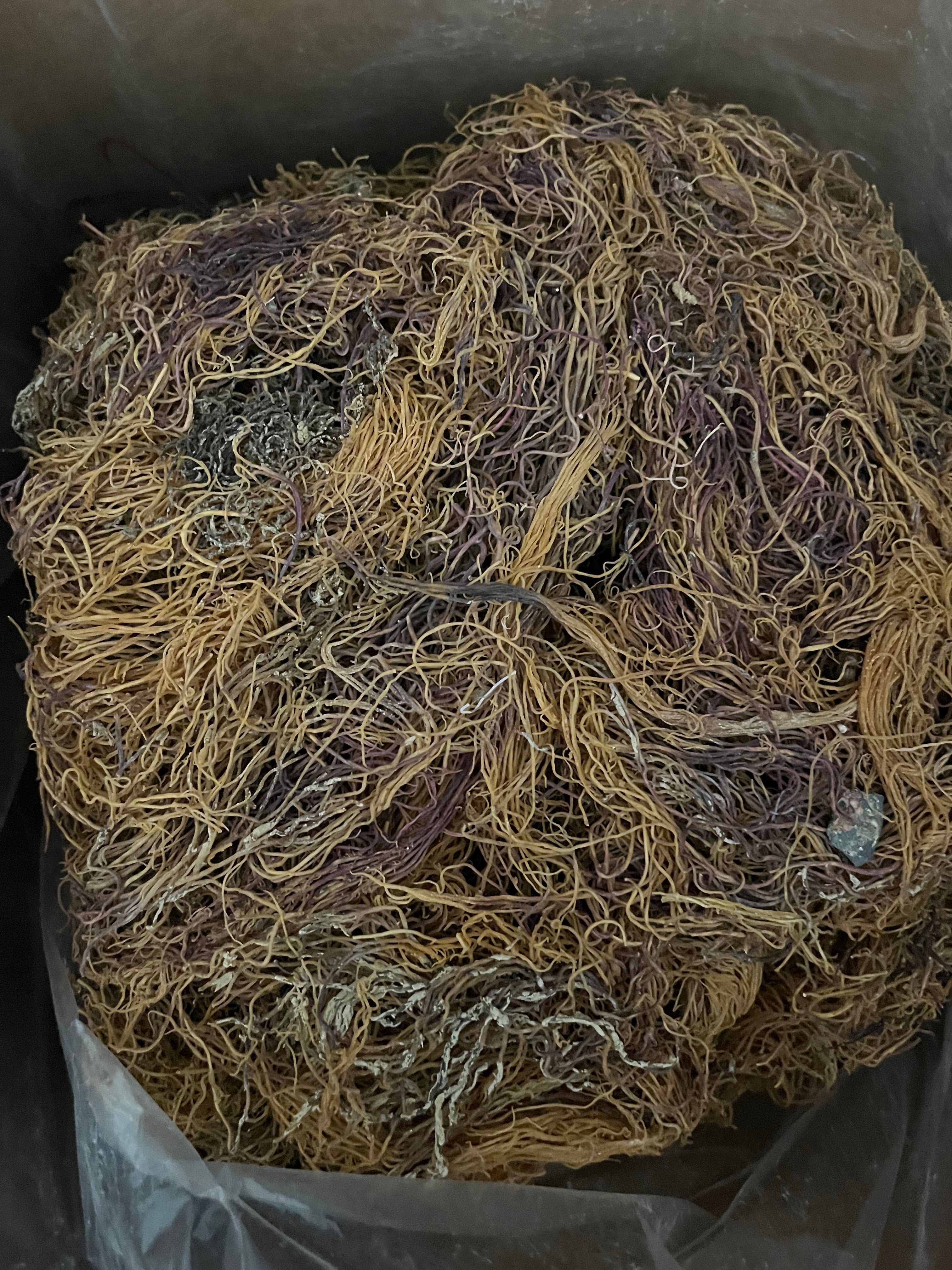 Seamoss Wholesale 5lb