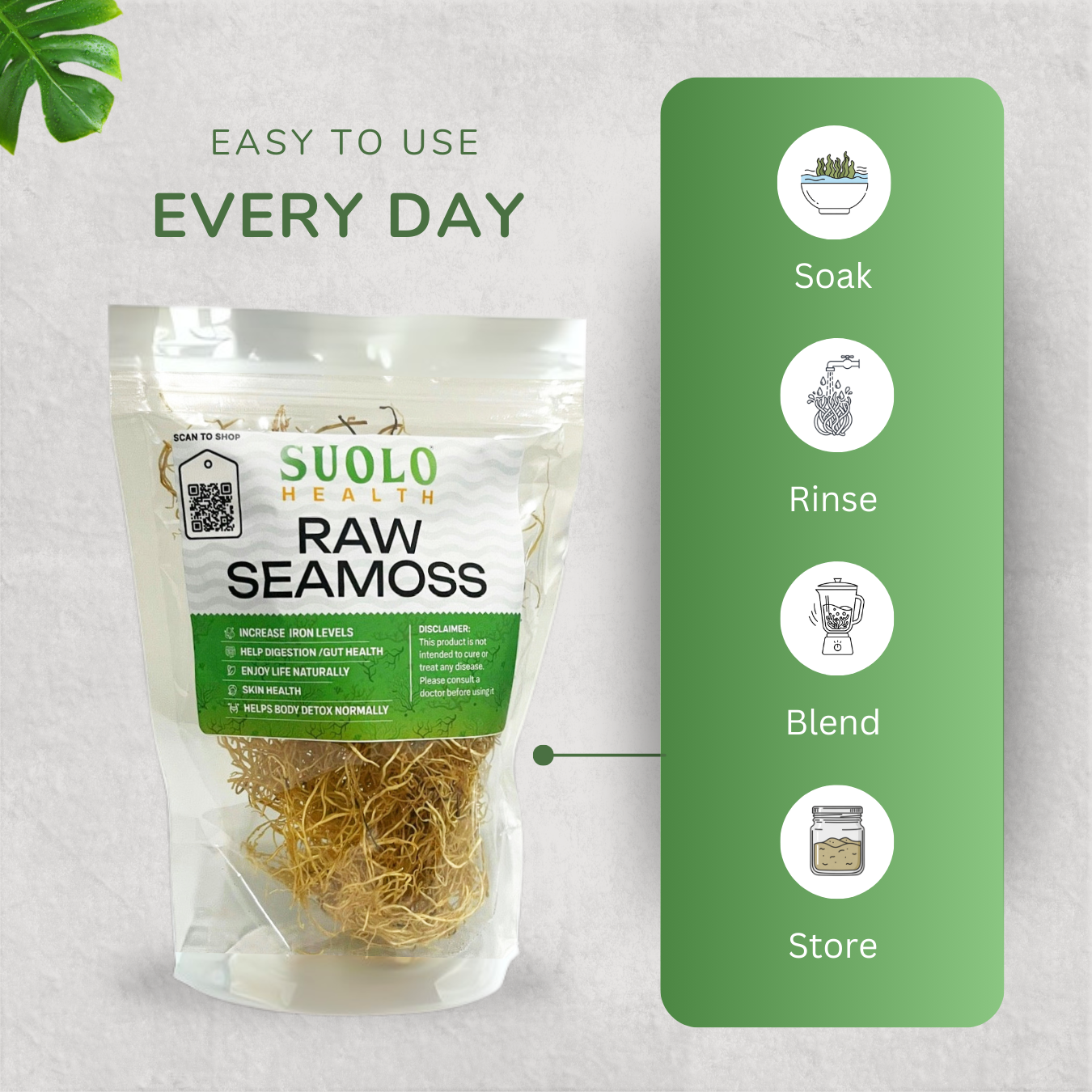 Raw Honduran Seamoss (2oz)