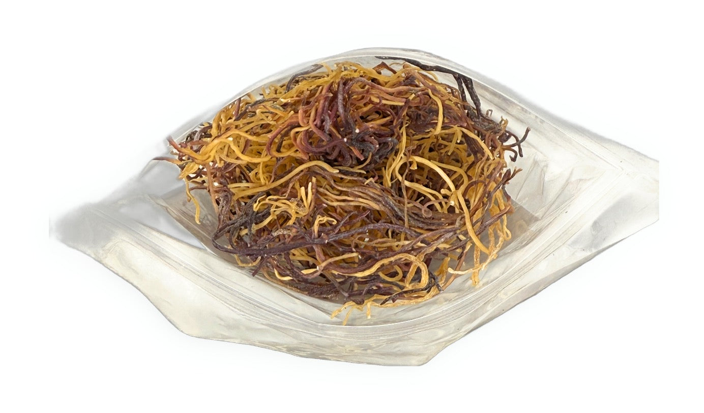 Raw Seamoss 2oz | 100% Authentic | Honduran Gracilaria Imported